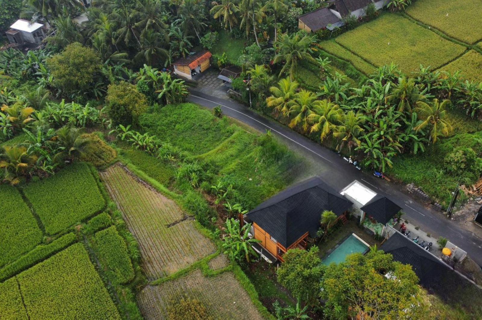 Harmony Wooden Villas Ubud Dış mekan fotoğraf